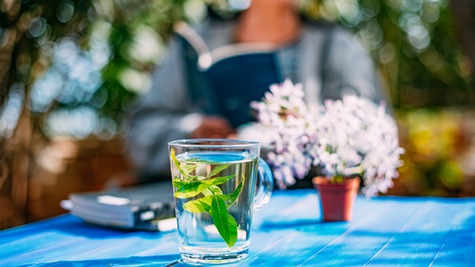 Lemon balm tea