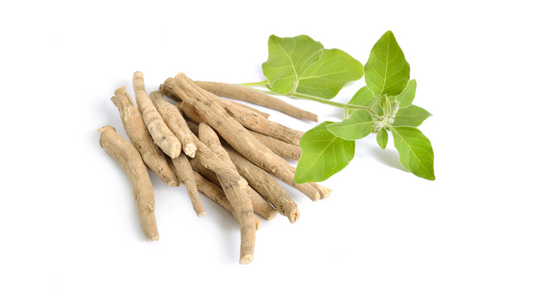 Ashwagandha Tea