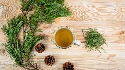 sweetea pine needle tea, sweetea,