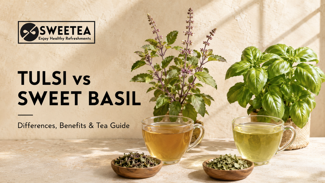 Tulsi vs Sweet Basil: What Is the Difference, and Why Does Sweet Basil Deserve Its Own Place in Herbal Tea?