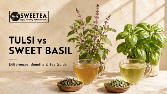 Tulsi vs Sweet Basil: What Is the Difference, and Why Does Sweet Basil Deserve Its Own Place in Herbal Tea?